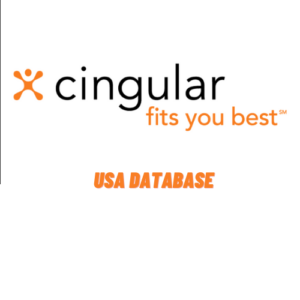 USA Cingular Wireless Database